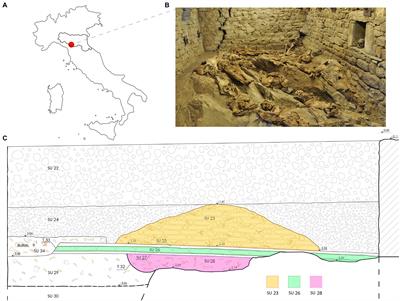 Twenty-Seven Y-Chromosome Short Tandem Repeats Analysis of Italian Mummies of the 16th and 18th Centuries: An Interdisciplinary Research